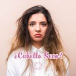 Remedios para el cabello seco, sin brillo y con puntas abiertas remedios para el cabello seco